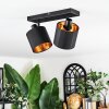 Alsen Plafoniera, Faretto da soffitto Nero, 2-Luci