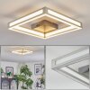 Danor Plafoniera LED Nichel opaco, 1-Luce