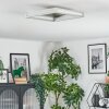Danor Plafoniera LED Nichel opaco, 1-Luce