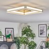 Danor Plafoniera LED Nichel opaco, 1-Luce