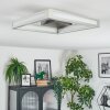 Danor Plafoniera LED Nichel opaco, 1-Luce