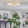 Danor Plafoniera LED Nichel opaco, 1-Luce