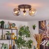 Gastor Plafoniera, Lampada a sfera Ambrato, Chiaro, Grigio fumo, 3-Luci Gastor Plafoniera, Lampada a sfera Ambrato, Chiaro, Grigio fumo, 3-Luci