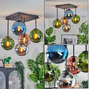 Gastor Plafoniera, Lampada a sfera Blu, Cromo, Verde, Ramato, Grigio fumo, 5-Luci Gastor Plafoniera, Lampada a sfera Blu, Cromo, Verde, Ramato, Grigio fumo, 5-Luci