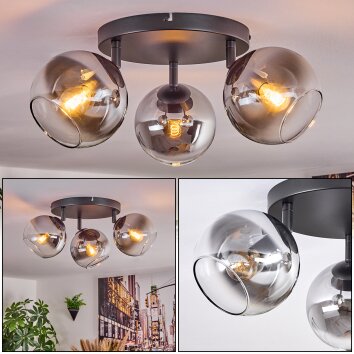 Koyoto Plafoniera, Lampada a sfera Cromo, Chiaro, Grigio fumo, 3-Luci