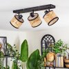 Ramila Plafoniera, Faretto da soffitto Nero, 3-Luci