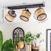 Ramila Plafoniera, Faretto da soffitto Nero, 3-Luci