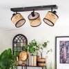 Ramila Plafoniera, Faretto da soffitto Nero, 3-Luci