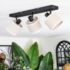 Bassagoda Plafoniera, Faretto da soffitto Nero, 3-Luci