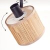 Bongal Plafoniera, Faretto da soffitto Nero, 3-Luci