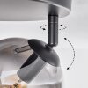 Gastor Plafoniera, Lampada a sfera 25 cm Chiaro, Grigio fumo, 3-Luci