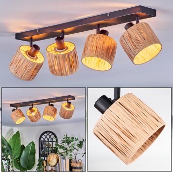 Granja Plafoniera, Faretto da soffitto Nero, 4-Luci Granja Plafoniera, Faretto da soffitto Nero, 4-Luci
