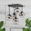 Gastor Plafoniera, Lampada a sfera Chiaro, Grigio fumo, 5-Luci