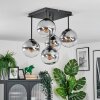 Gastor Plafoniera, Lampada a sfera Chiaro, Grigio fumo, 5-Luci