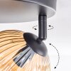 Koyoto Plafoniera, Lampada a sfera Ambrato, 3-Luci