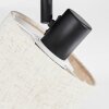 Bassagoda Plafoniera, Faretto da soffitto Nero, 4-Luci Bassagoda Plafoniera, Faretto da soffitto Nero, 4-Luci