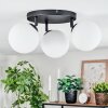 Chehalis Plafoniera, Lampada a sfera 25 cm Bianco, 3-Luci