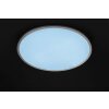 Plafoniera WOFI LINOX LED Bianco, 1-Luce, Cambia colore