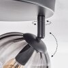 Koyoto Plafoniera, Lampada a sfera Chiaro, Grigio fumo, 3-Luci