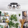 Koyoto Plafoniera, Lampada a sfera Chiaro, Grigio fumo, 3-Luci