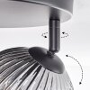 Ripoll Plafoniera, Lampada a sfera Chiaro, Grigio fumo, 3-Luci