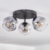 Ripoll Plafoniera, Lampada a sfera Chiaro, Grigio fumo, 3-Luci
