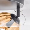 Koyoto Plafoniera, Lampada a sfera Ambrato, Chiaro, Grigio fumo, 3-Luci