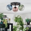 Chehalis Plafoniera, Lampada a sfera Blu, Verde, Chiaro, Ramato, 3-Luci Chehalis Plafoniera, Lampada a sfera Blu, Verde, Chiaro, Ramato, 3-Luci