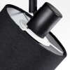 Bassagoda Plafoniera, Faretto da soffitto Nero, 2-Luci
