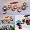 Chehalis Plafoniera, Lampada a sfera Oro, Nero, 8-Luci