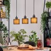 Bassagoda Lampadario a sospensione, Lampada a sospensione Écru, Nero, 3-Luci