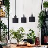 Bassagoda Lampadario a sospensione, Lampada a sospensione Écru, Nero, 3-Luci