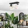 Bassagoda Plafoniera, Faretto da soffitto Nero, 2-Luci