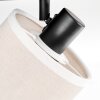 Bassagoda Plafoniera, Faretto da soffitto Nero, 2-Luci