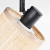 Sabadim Plafoniera, Faretto da soffitto Nero, 2-Luci