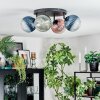 Chehalis Plafoniera, Lampada a sfera 30 cm Blu, Verde, Chiaro, Ramato, 4-Luci