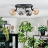 Chehalis Plafoniera, Lampada a sfera Ambrato, Grigio fumo, 4-Luci