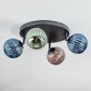 Chehalis Plafoniera, Lampada a sfera Blu, Verde, Ramato, 4-Luci