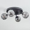 Chehalis Plafoniera, Lampada a sfera Grigio fumo, 4-Luci
