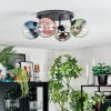 Chehalis Plafoniera, Lampada a sfera Blu, Cromo, Verde, Chiaro, Ramato, Grigio fumo, 4-Luci