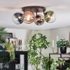 Chehalis Plafoniera, Lampada a sfera Blu, Cromo, Verde, Chiaro, Ramato, Grigio fumo, 4-Luci