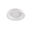 WOFI CAMERON Plafoniera LED Bianco, 1-Luce, Telecomando