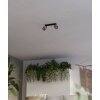 Illuminazione Eglo ROSLEY Plafoniera, Faretto da soffitto Nero, 2-Luci