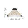Illuminazione Eglo OXPARK Plafoniera, Applique Nero, 1-Luce
