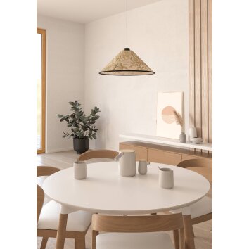Illuminazione Eglo OXPARK Lampadario a sospensione Nero, 1-Luce