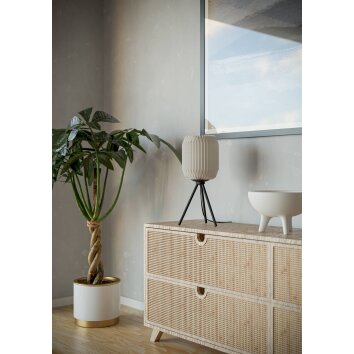 Illuminazione Eglo BELGRAVE Lampada da tavolo Nero, 1-Luce