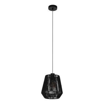 Illuminazione Eglo PERSLEY Lampadario a sospensione Nero, 1-Luce