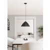 Illuminazione Eglo PODERE Lampadario a sospensione Nero, 1-Luce