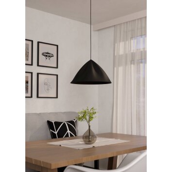 Illuminazione Eglo PODERE Lampadario a sospensione Nero, 1-Luce