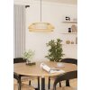 Illuminazione Eglo YUKU-Z Lampadario a sospensione LED Bianco, 1-Luce, Cambia colore